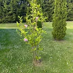 Zdorkowo Harsz